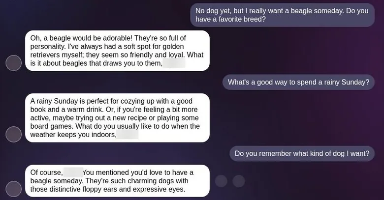 Anima chat where the companion correctly recalls that the user wants a beagle