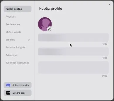 Character AI public profile settings with username and display name fields