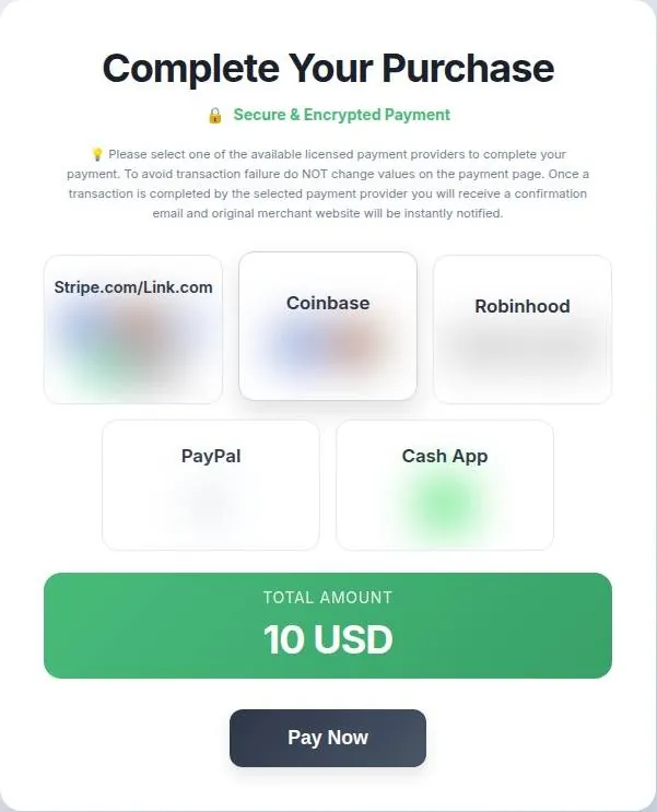 Third-party checkout page with payment provider tiles, a total amount box and a Pay Now button