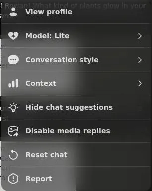 Chat options menu with model, conversation style, context, reset and report entries