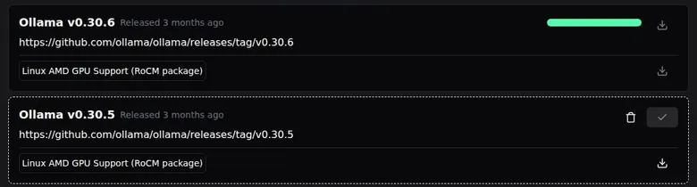 Two Ollama version cards in HammerAI, one with a full progress bar and one marked installed
