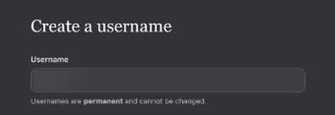 Janitor onboarding screen asking the user to create a username