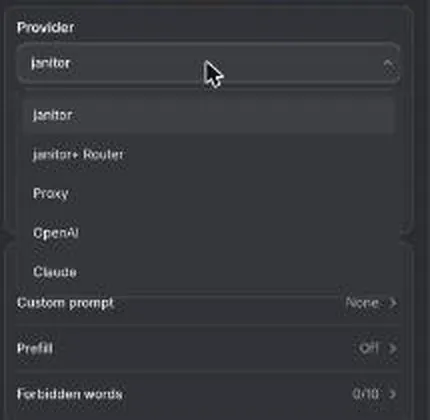 Janitor provider menu listing the house model, Router, proxy and outside providers