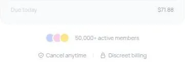 Luvr AI checkout due-today total with active members count and discreet billing note