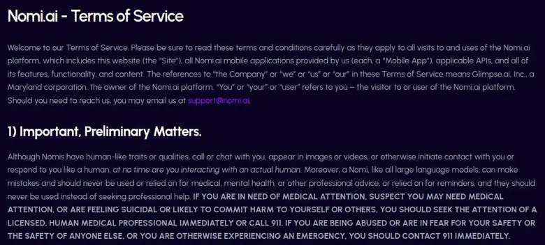 Top of the Nomi.ai Terms of Service page
