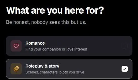 Privee AI onboarding question with Romance and Roleplay and story options