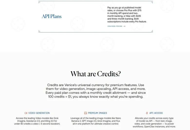 Venice pricing section explaining credits for video, premium images and API